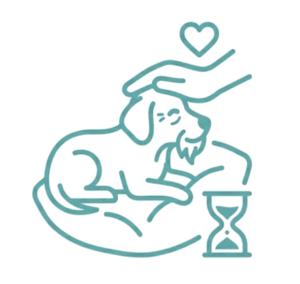 טיפול בחיות מבוגרות (גריאטריה)