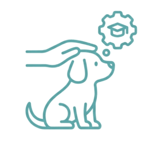 ליווי גורים וייעוץ התנהגותי